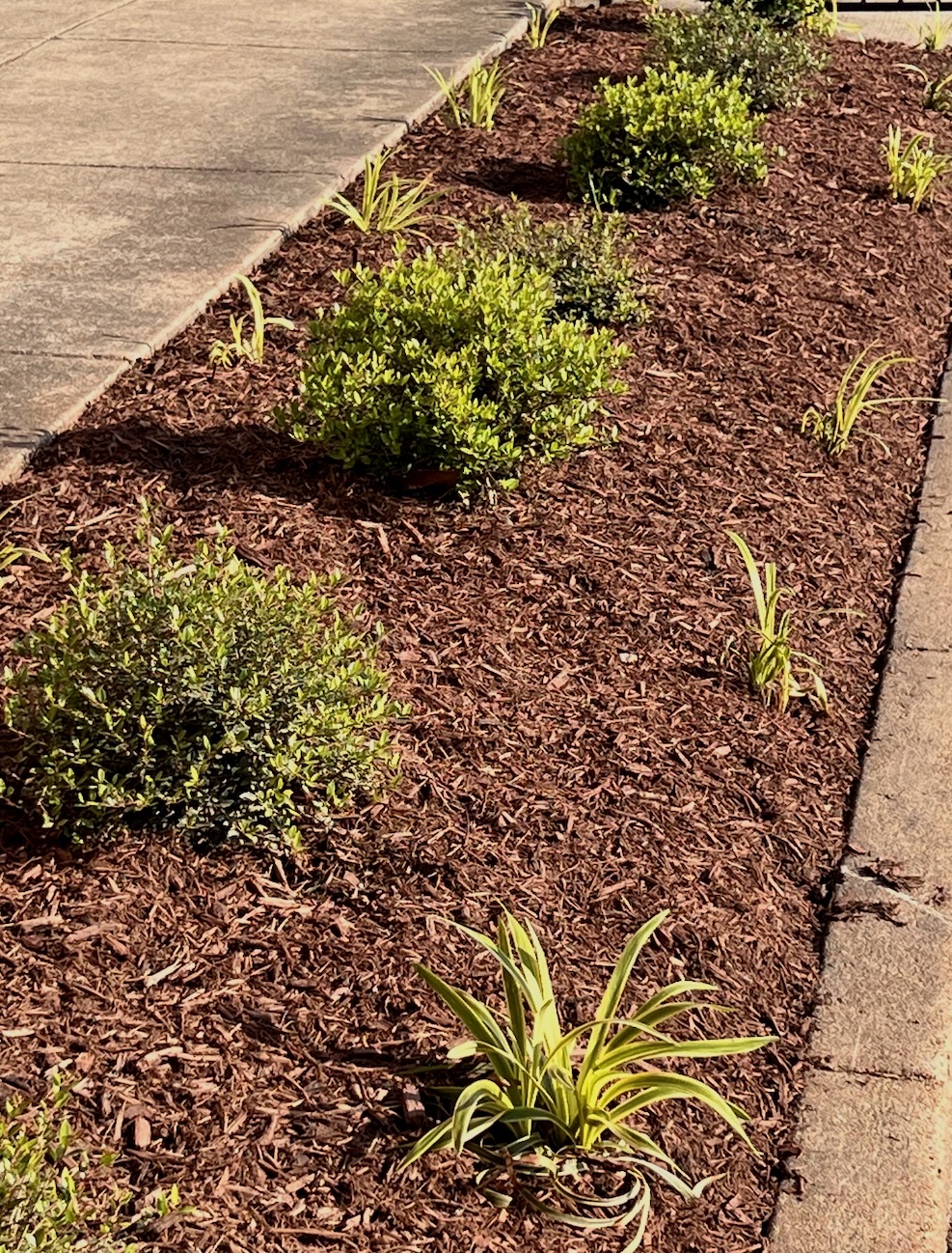Landscaping, Hernando, Placemaking USDA Rural Development featured photo