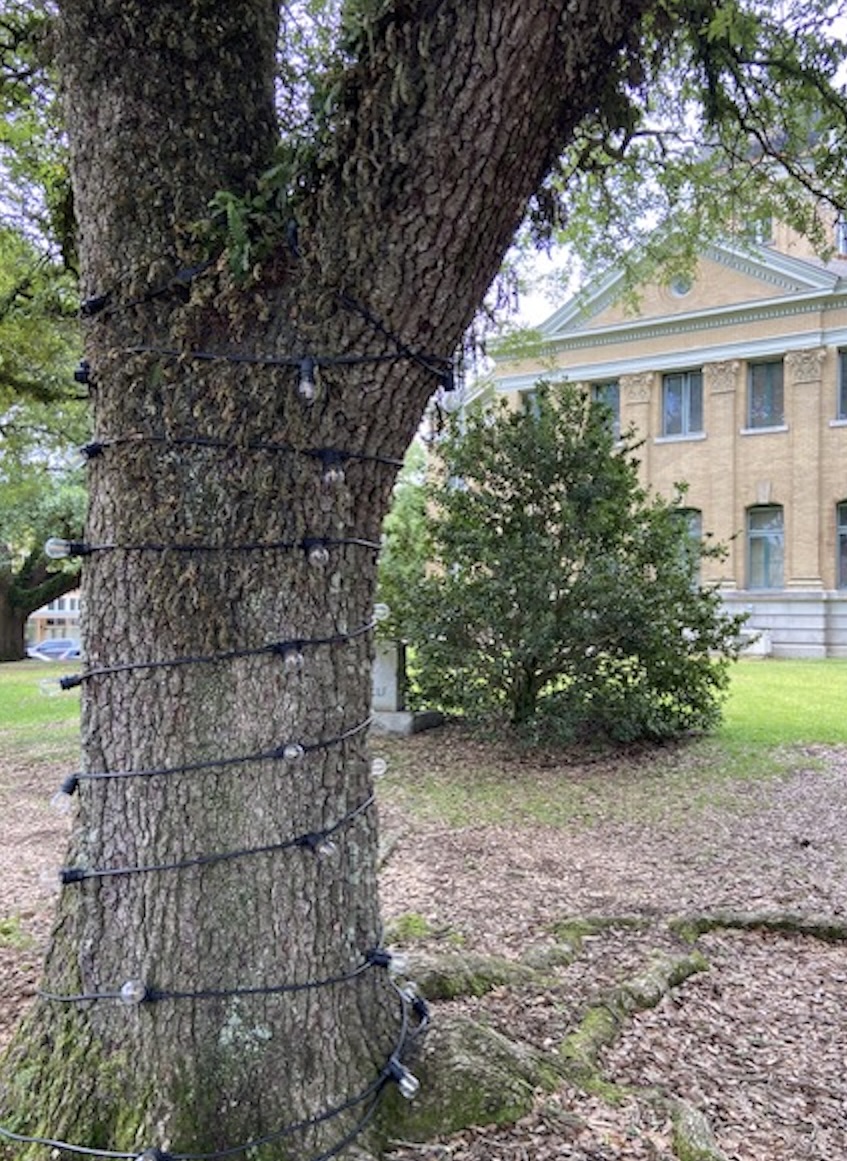 Courthouse Lighting Project, Woodville, Placemaking USDA Rural Development featured photo