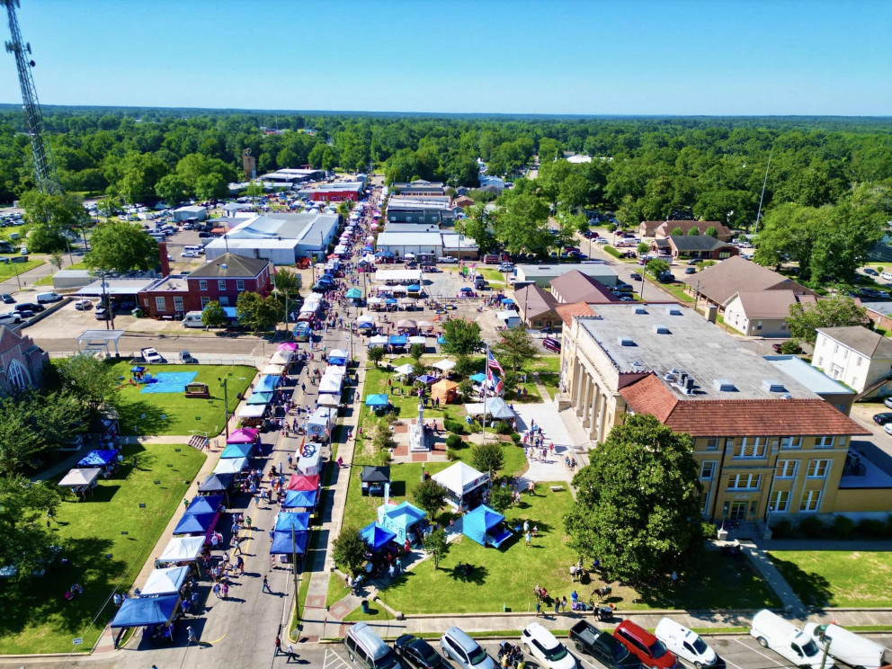 June 13: 42nd Annual Blueberry Jubilee in Poplarville event photo